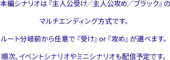 本編シナリオは『主人公受け／主人公攻め／ブラック』のマルチエンディング方式です。