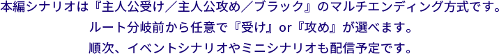 本編シナリオは『主人公受け／主人公攻め／ブラック』のマルチエンディング方式です。